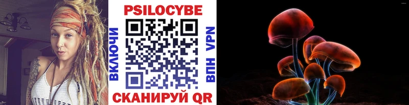 сколько стоит  Междуреченск  Галлюциногенные грибы мицелий 